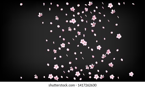 Nice Sakura Blossom Isolated Vector. Spring Flying 3d Petals Wedding Texture. Japanese Style Flowers Illustration. Valentine, Mother's Day Summer Nice Sakura Blossom Isolated on Black