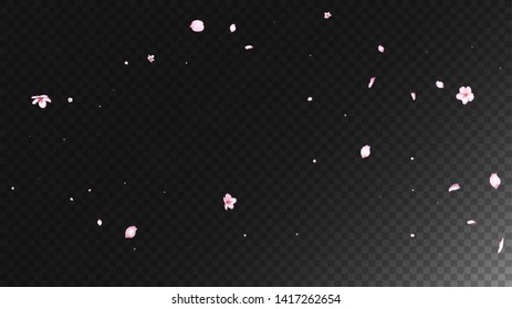 Nice Sakura Blossom Isolated Vector. Feminine Falling 3d Petals Wedding Pattern. Japanese Funky Flowers Illustration. Valentine, Mother's Day Beautiful Nice Sakura Blossom Isolated on Black