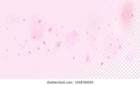 Nice Sakura Blossom Isolated Vector. Spring Falling 3d Petals Wedding Border. Japanese Blurred Flowers Illustration. Valentine, Mother's Day Beautiful Nice Sakura Blossom Isolated on Rose