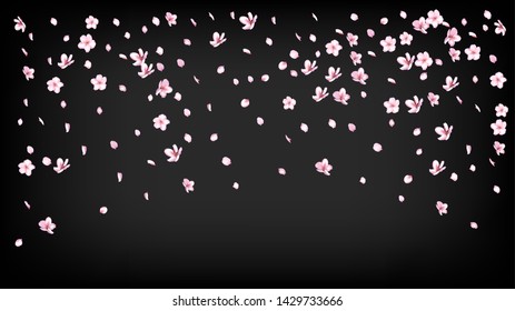 Nice Sakura Blossom Isolated Vector. Tender Flying 3d Petals Wedding Frame. Japanese Blooming Flowers Wallpaper. Valentine, Mother's Day Feminine Nice Sakura Blossom Isolated on Black