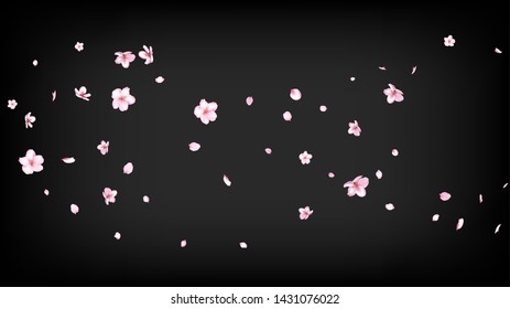 Nice Sakura Blossom Isolated Vector. Magic Falling 3d Petals Wedding Paper. Japanese Blurred Flowers Illustration. Valentine, Mother's Day Magic Nice Sakura Blossom Isolated on Black