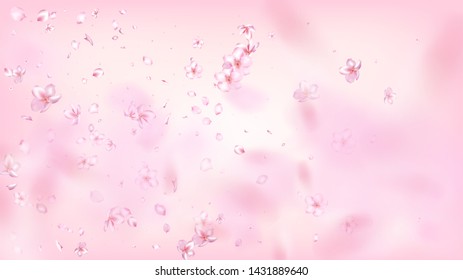 Nice Sakura Blossom Isolated Vector. Realistic Flying 3d Petals Wedding Frame. Japanese Blurred Flowers Wallpaper. Valentine, Mother's Day Summer Nice Sakura Blossom Isolated on Rose