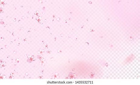 Nice Sakura Blossom Isolated Vector. Summer Showering 3d Petals Wedding Texture. Japanese Blooming Flowers Wallpaper. Valentine, Mother's Day Spring Nice Sakura Blossom Isolated on Rose