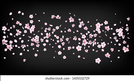 Nice Sakura Blossom Isolated Vector. Spring Blowing 3d Petals Wedding Pattern. Japanese Blooming Flowers Wallpaper. Valentine, Mother's Day Feminine Nice Sakura Blossom Isolated on Black