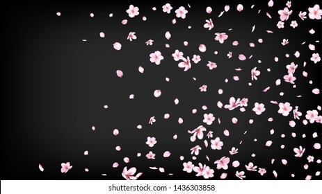 Nice Sakura Blossom Isolated Vector. Spring Showering 3d Petals Wedding Texture. Japanese Blurred Flowers Illustration. Valentine, Mother's Day Magic Nice Sakura Blossom Isolated on Black