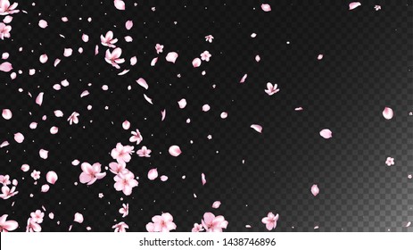 Nice Sakura Blossom Isolated Vector. Magic Blowing 3d Petals Wedding Pattern. Japanese Oriental Flowers Wallpaper. Valentine, Mother's Day Pastel Nice Sakura Blossom Isolated on Black