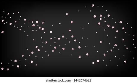 Nice Sakura Blossom Isolated Vector. Beautiful Showering 3d Petals Wedding Design. Japanese Oriental Flowers Illustration. Valentine, Mother's Day Spring Nice Sakura Blossom Isolated on Black