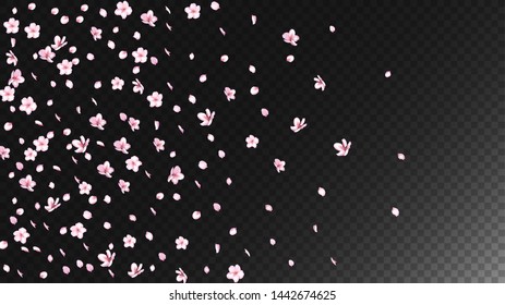 Nice Sakura Blossom Isolated Vector. Spring Showering 3d Petals Wedding Texture. Japanese Blurred Flowers Illustration. Valentine, Mother's Day Magic Nice Sakura Blossom Isolated on Black