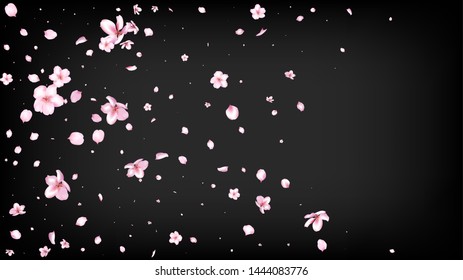 Nice Sakura Blossom Isolated Vector. Summer Falling 3d Petals Wedding Design. Japanese Style Flowers Illustration. Valentine, Mother's Day Spring Nice Sakura Blossom Isolated on Black