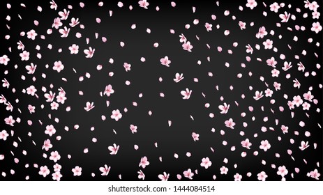 Nice Sakura Blossom Isolated Vector. Realistic Falling 3d Petals Wedding Texture. Japanese Funky Flowers Wallpaper. Valentine, Mother's Day Tender Nice Sakura Blossom Isolated on Black
