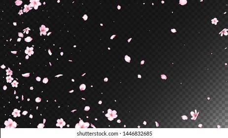 Nice Sakura Blossom Isolated Vector. Realistic Showering 3d Petals Wedding Design. Japanese Beauty Spa Flowers Illustration. Valentine, Mother's Day Beautiful Nice Sakura Blossom Isolated on Black