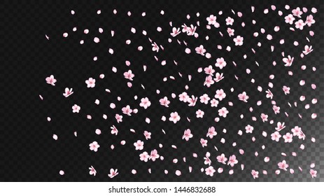 Nice Sakura Blossom Isolated Vector. Feminine Flying 3d Petals Wedding Frame. Japanese Gradient Flowers Wallpaper. Valentine, Mother's Day Spring Nice Sakura Blossom Isolated on Black