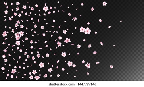 Nice Sakura Blossom Isolated Vector. Watercolor Blowing 3d Petals Wedding Pattern. Japanese Beauty Spa Flowers Illustration. Valentine, Mother's Day Tender Nice Sakura Blossom Isolated on Black