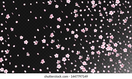 Nice Sakura Blossom Isolated Vector. Magic Showering 3d Petals Wedding Design. Japanese Blurred Flowers Illustration. Valentine, Mother's Day Magic Nice Sakura Blossom Isolated on Black
