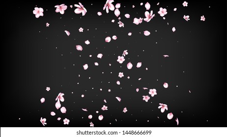Nice Sakura Blossom Isolated Vector. Beautiful Flying 3d Petals Wedding Frame. Japanese Nature Flowers Wallpaper. Valentine, Mother's Day Summer Nice Sakura Blossom Isolated on Black