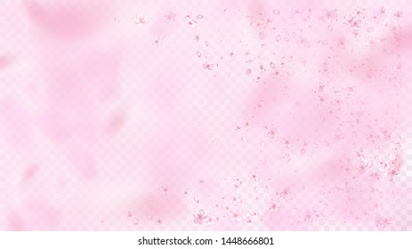 Nice Sakura Blossom Isolated Vector. Magic Blowing 3d Petals Wedding Pattern. Japanese Bokeh Flowers Illustration. Valentine, Mother's Day Tender Nice Sakura Blossom Isolated on Rose