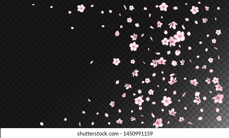 Nice Sakura Blossom Isolated Vector. Tender Blowing 3d Petals Wedding Texture. Japanese Funky Flowers Illustration. Valentine, Mother's Day Spring Nice Sakura Blossom Isolated on Black