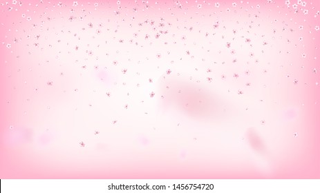 Nice Sakura Blossom Isolated Vector. Tender Falling 3d Petals Wedding Texture. Japanese Beauty Spa Flowers Wallpaper. Valentine, Mother's Day Feminine Nice Sakura Blossom Isolated on Rose