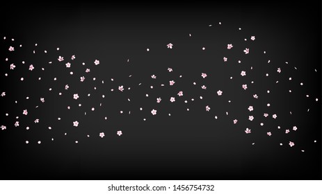 Nice Sakura Blossom Isolated Vector. Pastel Falling 3d Petals Wedding Texture. Japanese Gradient Flowers Wallpaper. Valentine, Mother's Day Spring Nice Sakura Blossom Isolated on Black