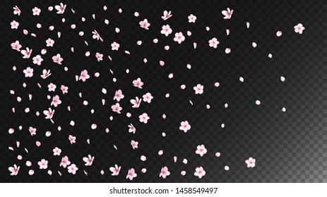 Nice Sakura Blossom Isolated Vector. Feminine Falling 3d Petals Wedding Paper. Japanese Oriental Flowers Wallpaper. Valentine, Mother's Day Realistic Nice Sakura Blossom Isolated on Black