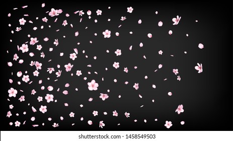 Nice Sakura Blossom Isolated Vector. Summer Falling 3d Petals Wedding Border. Japanese Gradient Flowers Illustration. Valentine, Mother's Day Beautiful Nice Sakura Blossom Isolated on Black