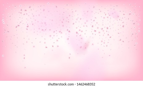 Nice Sakura Blossom Isolated Vector. Feminine Flying 3d Petals Wedding Texture. Japanese Bokeh Flowers Wallpaper. Valentine, Mother's Day Tender Nice Sakura Blossom Isolated on Rose