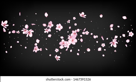 Nice Sakura Blossom Isolated Vector. Pastel Flying 3d Petals Wedding Texture. Japanese Funky Flowers Wallpaper. Valentine, Mother's Day Feminine Nice Sakura Blossom Isolated on Black