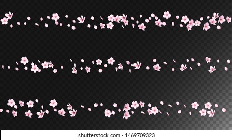 Nice Sakura Blossom Isolated Vector. Watercolor Showering 3d Petals Wedding Design. Japanese Style Flowers Wallpaper. Valentine, Mother's Day Tender Nice Sakura Blossom Isolated on Black