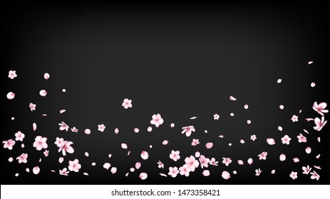 Nice Sakura Blossom Isolated Vector. Beautiful Showering 3d Petals Wedding Texture. Japanese Gradient Flowers Wallpaper. Valentine, Mother's Day Magic Nice Sakura Blossom Isolated on Black