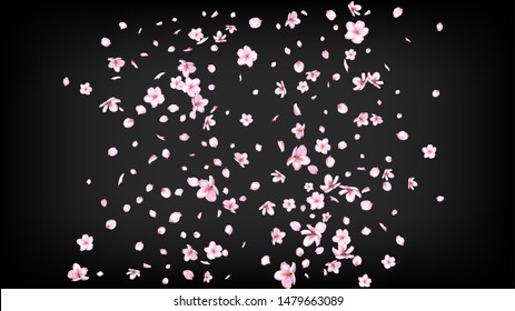 Nice Sakura Blossom Isolated Vector. Pastel Flying 3d Petals Wedding Border. Japanese Style Flowers Wallpaper. Valentine, Mother's Day Spring Nice Sakura Blossom Isolated on Black