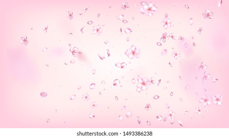 Nice Sakura Blossom Isolated Vector. Spring Blowing 3d Petals Wedding Design. Japanese Style Flowers Illustration. Valentine, Mother's Day Spring Nice Sakura Blossom Isolated on Rose