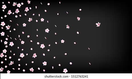 Nice Sakura Blossom Isolated Vector. Beautiful Falling 3d Petals Wedding Paper. Japanese Blooming Flowers Wallpaper. Valentine, Mother's Day Pastel Nice Sakura Blossom Isolated on Black