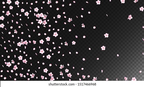 Nice Sakura Blossom Isolated Vector. Tender Blowing 3d Petals Wedding Border. Japanese Oriental Flowers Wallpaper. Valentine, Mother's Day Magic Nice Sakura Blossom Isolated on Black