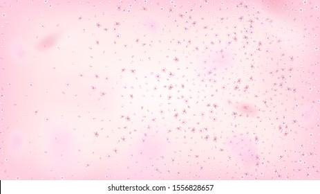 Nice Sakura Blossom Isolated Vector. Pastel Showering 3d Petals Wedding Paper. Japanese Nature Flowers Wallpaper. Valentine, Mother's Day Pastel Nice Sakura Blossom Isolated on Rose