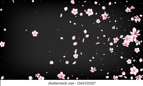 Nice Sakura Blossom Isolated Vector. Tender Blowing 3d Petals Wedding Frame. Japanese Bokeh Flowers Wallpaper. Valentine, Mother's Day Spring Nice Sakura Blossom Isolated on Black