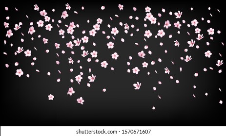 Nice Sakura Blossom Isolated Vector. Watercolor Blowing 3d Petals Wedding Paper. Japanese Oriental Flowers Wallpaper. Valentine, Mother's Day Magic Nice Sakura Blossom Isolated on Black