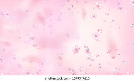 Nice Sakura Blossom Isolated Vector. Tender Falling 3d Petals Wedding Design. Japanese Style Flowers Illustration. Valentine, Mother's Day Magic Nice Sakura Blossom Isolated on Rose