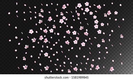 Nice Sakura Blossom Isolated Vector. Summer Flying 3d Petals Wedding Frame. Japanese Style Flowers Illustration. Valentine, Mother's Day Summer Nice Sakura Blossom Isolated on Black