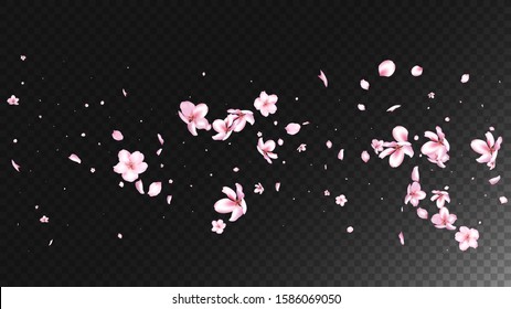 Nice Sakura Blossom Isolated Vector. Spring Flying 3d Petals Wedding Paper. Japanese Blurred Flowers Illustration. Valentine, Mother's Day Feminine Nice Sakura Blossom Isolated on Black