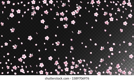Nice Sakura Blossom Isolated Vector. Beautiful Showering 3d Petals Wedding Border. Japanese Blooming Flowers Wallpaper. Valentine, Mother's Day Pastel Nice Sakura Blossom Isolated on Black