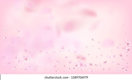 Nice Sakura Blossom Isolated Vector. Realistic Blowing 3d Petals Wedding Paper. Japanese Gradient Flowers Illustration. Valentine, Mother's Day Spring Nice Sakura Blossom Isolated on Rose