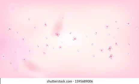 Nice Sakura Blossom Isolated Vector. Realistic Blowing 3d Petals Wedding Frame. Japanese Nature Flowers Wallpaper. Valentine, Mother's Day Spring Nice Sakura Blossom Isolated on Rose