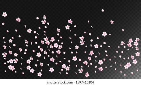 Nice Sakura Blossom Isolated Vector. Watercolor Blowing 3d Petals Wedding Texture. Japanese Blurred Flowers Wallpaper. Valentine, Mother's Day Watercolor Nice Sakura Blossom Isolated on Black