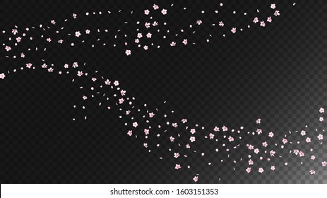 Nice Sakura Blossom Isolated Vector. Tender Flying 3d Petals Wedding Paper. Japanese Blooming Flowers Wallpaper. Valentine, Mother's Day Feminine Nice Sakura Blossom Isolated on Black