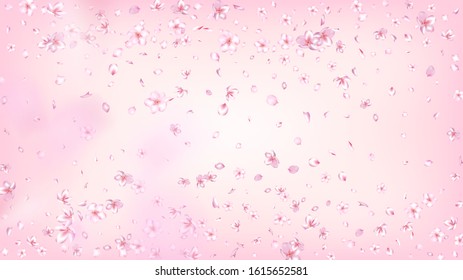 Nice Sakura Blossom Isolated Vector. Tender Showering 3d Petals Wedding Paper. Japanese Nature Flowers Wallpaper. Valentine, Mother's Day Pastel Nice Sakura Blossom Isolated on Rose