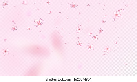 Nice Sakura Blossom Isolated Vector. Tender Blowing 3d Petals Wedding Paper. Japanese Funky Flowers Wallpaper. Valentine, Mother's Day Realistic Nice Sakura Blossom Isolated on Rose