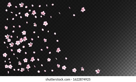 Nice Sakura Blossom Isolated Vector. Tender Falling 3d Petals Wedding Design. Japanese Nature Flowers Wallpaper. Valentine, Mother's Day Magic Nice Sakura Blossom Isolated on Black