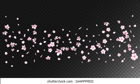 Nice Sakura Blossom Isolated Vector. Watercolor Showering 3d Petals Wedding Pattern. Japanese Bokeh Flowers Illustration. Valentine, Mother's Day Tender Nice Sakura Blossom Isolated on Black