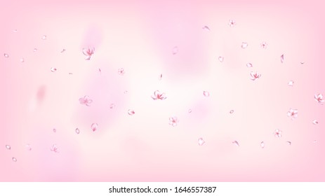 Nice Sakura Blossom Isolated Vector. Tender Falling 3d Petals Wedding Frame. Japanese Beauty Spa Flowers Wallpaper. Valentine, Mother's Day Spring Nice Sakura Blossom Isolated on Rose