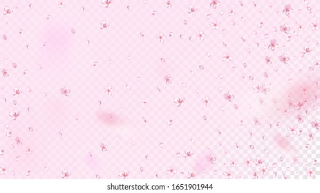 Nice Sakura Blossom Isolated Vector. Magic Blowing 3d Petals Wedding Design. Japanese Oriental Flowers Wallpaper. Valentine, Mother's Day Realistic Nice Sakura Blossom Isolated on Rose